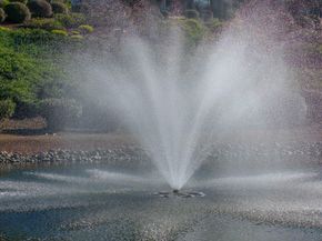 7308 Via Piedra, San Jose CA 95135