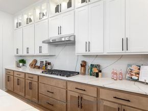 1431  Tenuta Drive , Fate Texas 75087