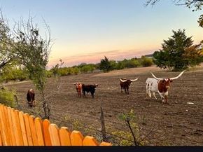 2549  Goodrich Road , Fort Worth Texas 76179