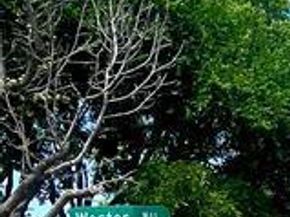 17216  Ikel Drive , Dallas Texas 75248