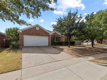 4100  Chisos Rim Trail 