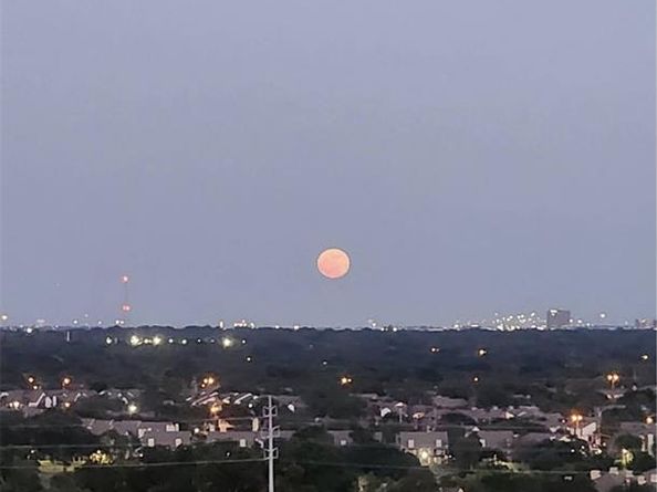 5200  Keller Springs Road  1322, Dallas Texas 75248