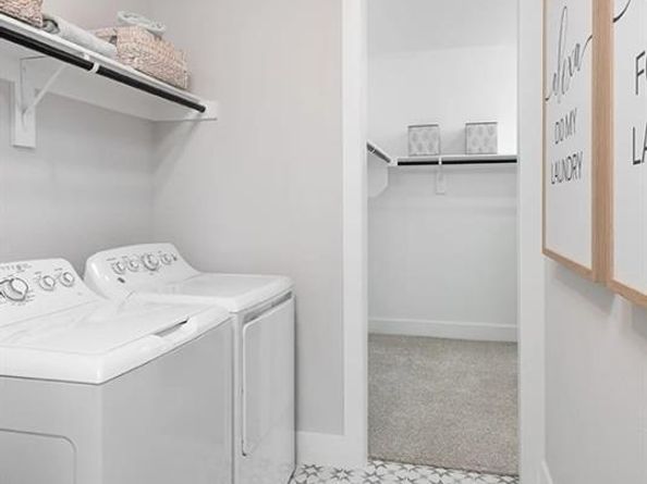 3137  Eddington Drive , McKinney Texas 75071