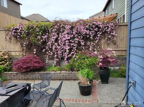 308 142nd Street SW, Everett WA 98208