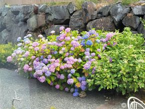 308 142nd Street SW, Everett WA 98208