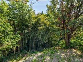 2615 NE 113th Street, Seattle WA 98125