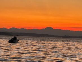7161 Beach Drive SW, Seattle WA 98136
