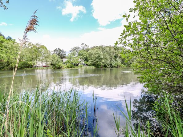 17 Alan Avenue, Danbury CT 06811