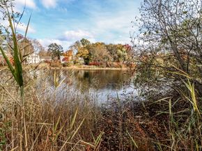 17 Alan Avenue, Danbury CT 06811