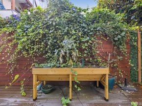 380 Dolores Street 9, San Francisco CA 94110