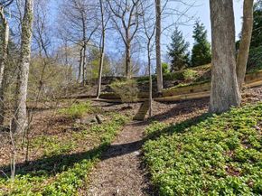 31 Colonial Road, White Plains NY 10605