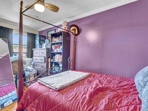 516 Elton Street, Brooklyn NY 11208
