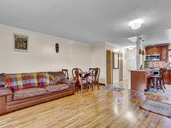 516 Elton Street, Brooklyn NY 11208