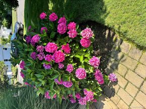 3 Hickory Lane, Glen Cove NY 11542