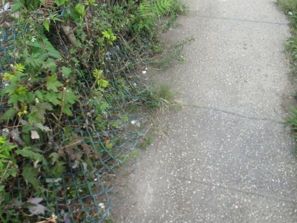 13225 Ruby Street, Ozone Park NY 11414