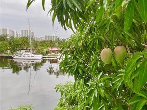 419 Golden Isles Dr 106, Hallandale Beach FL 33009