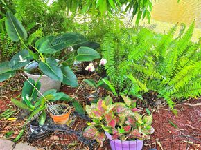 1711 SW 22nd St, Boynton Beach FL 33426