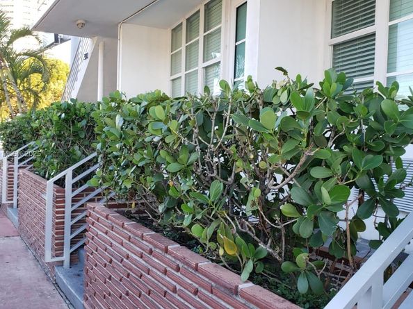 300 74th St 3, Miami Beach FL 33141