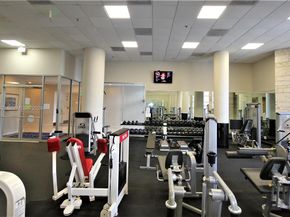 5161 Collins Ave 518, Miami Beach FL 33140