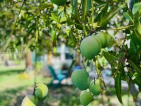 213 N E St, Lake Worth FL 33460