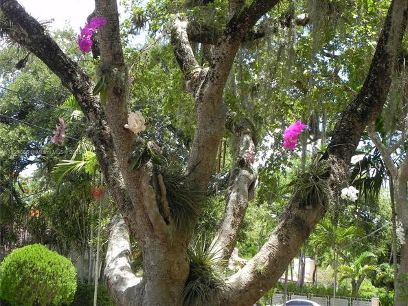 Undisclosed Address #A11827085, Miami FL 33138