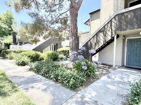 2309 Mclaughlin Avenue, San Jose CA 95122