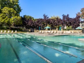 833 N Humboldt Street 208, San Mateo CA 94401