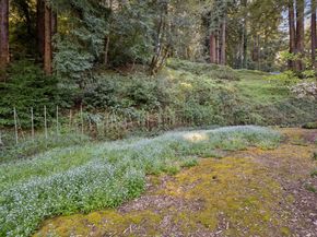 188 Martinez Road, Woodside CA 94062
