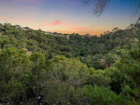 2827 San Ardo Way, Belmont CA 94002