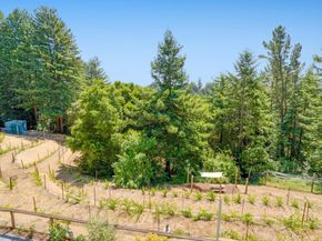 55 Hidden Meadow Lane, Scotts Valley CA 95066
