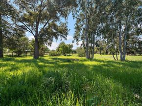 13575 Mammini Court, San Martin CA 95046