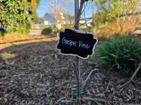 14200 Sycamore Avenue, San Martin CA 95046