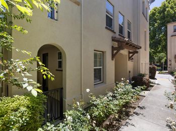 211 Okeefe Way