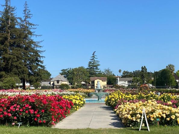 88 Bush Street 2173, San Jose CA 95126
