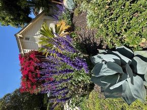 7133 Via Solana, San Jose CA 95135