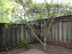 201 Ada Avenue 25, Mountain View CA 94043