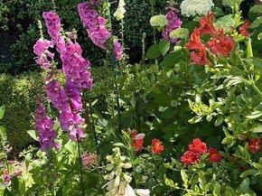 90 Melrose Place, Redwood City CA 94062