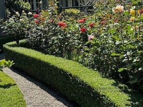 90 Melrose Place, Redwood City CA 94062