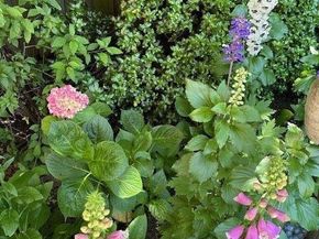 90 Melrose Place, Redwood City CA 94062