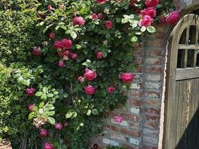 90 Melrose Place, Redwood City CA 94062