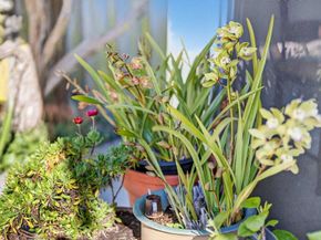 3555 Sevilla Drive, Soquel CA 95073