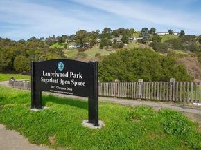 1413 Parkwood Drive, San Mateo CA 94403