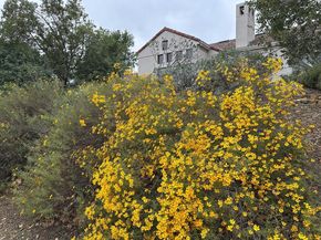 8255 Rancho Real, Gilroy CA 95020