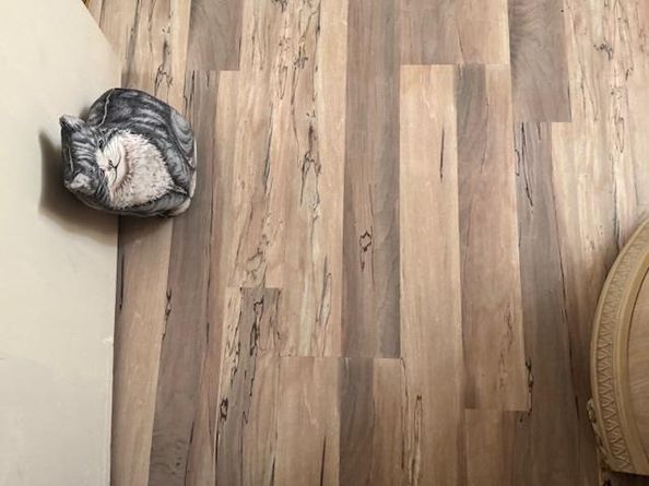 2563 Gumdrop Drive, San Jose CA 95148