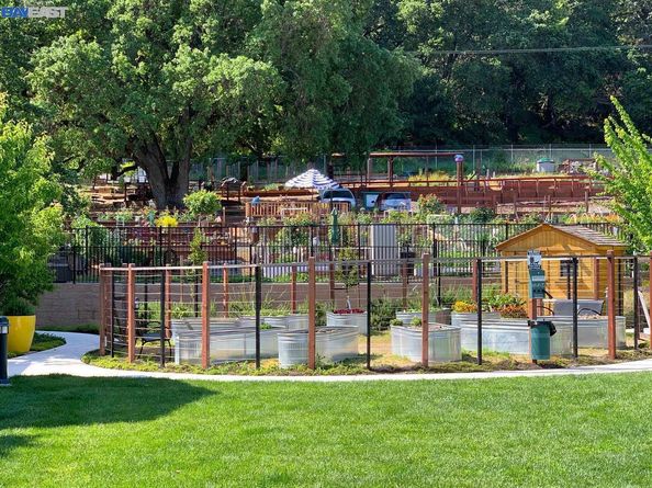 601 Chives Way, Walnut Creek CA 94595