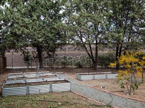 10715 Grapnel Place, Cupertino CA 95014