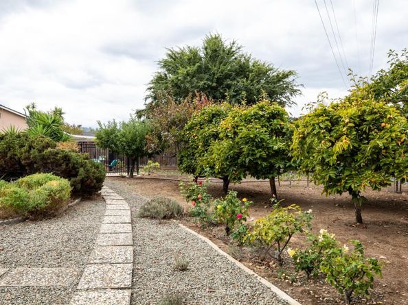 10715 Grapnel Place, Cupertino CA 95014