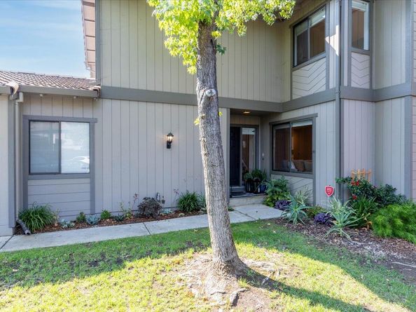 207 Palmer Drive, Los Gatos CA 95032