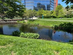 2 Earhart 409, Cambridge MA 02141