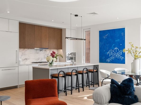 595 Albany Street 201, Boston MA 02118